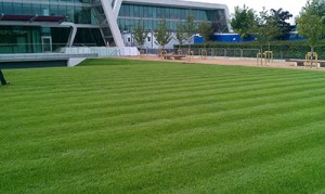 Lawn care for commercial and domestic clients