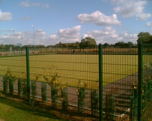 Bowling green fencing and newly planted trees with tree protectors