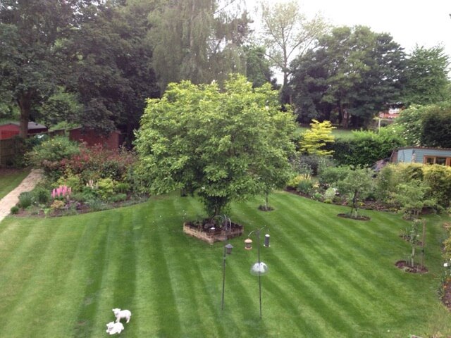 Private Landscaped Garden in Suffolk thumbnail